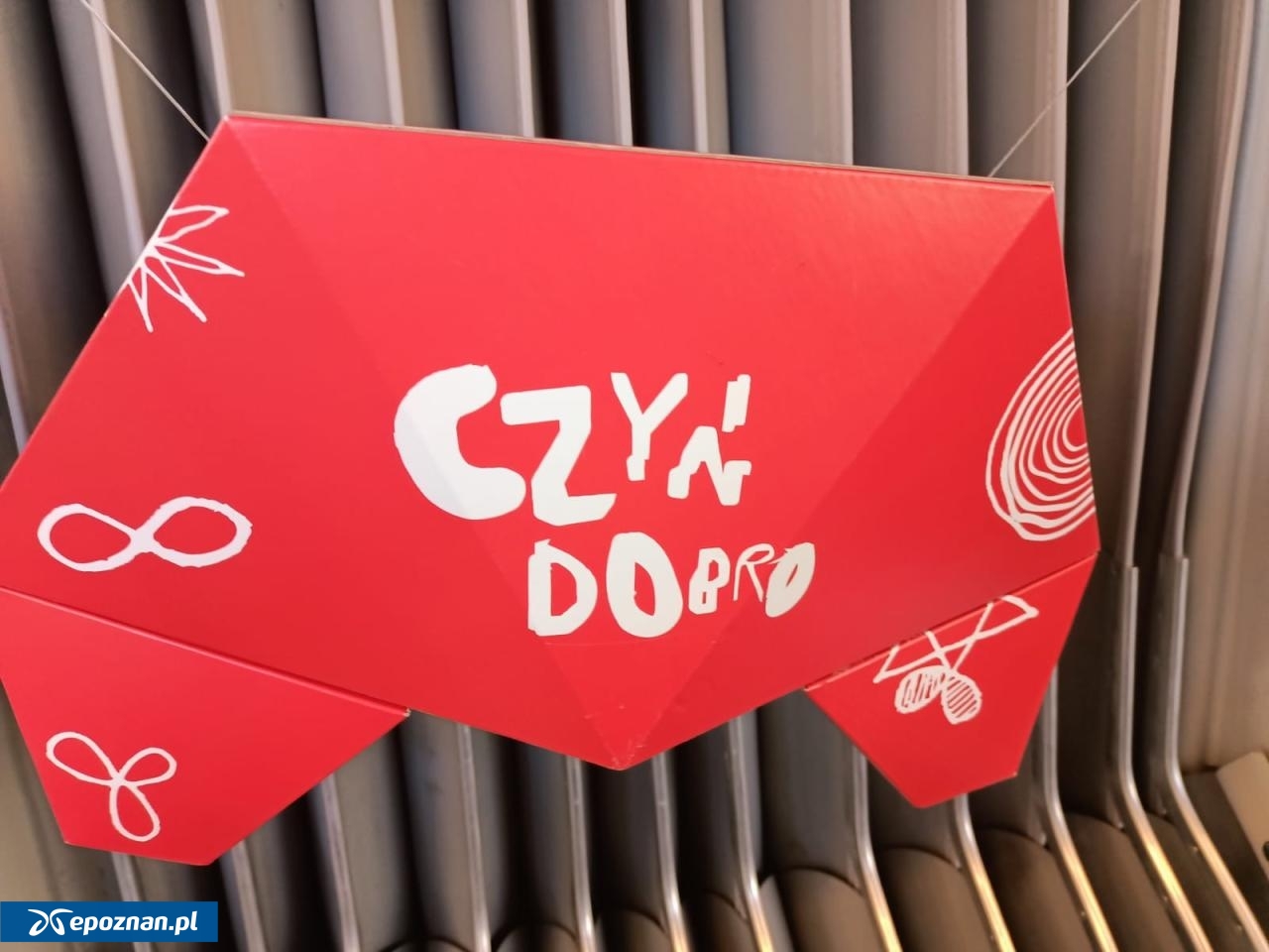 fot. Włodzimierz Hoppel