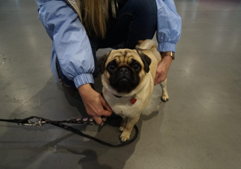 fot. Maciej Kopiński