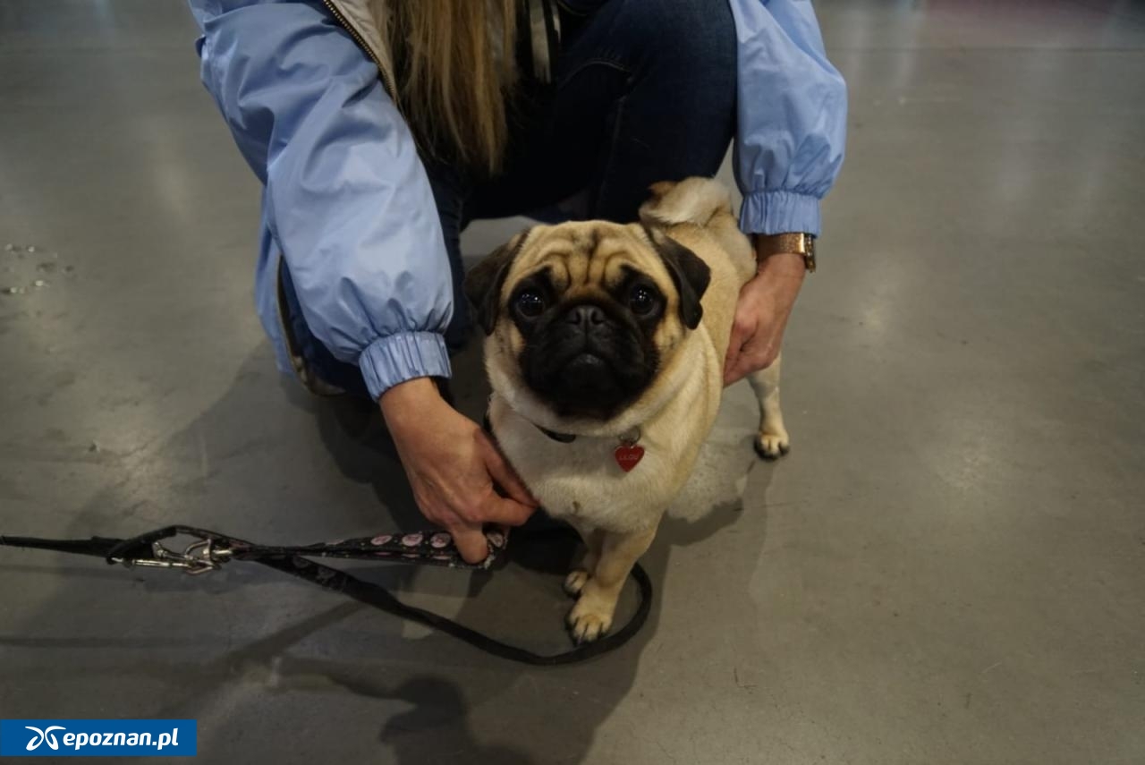 fot. Maciej Kopiński