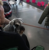 fot. Maciej Kopiński