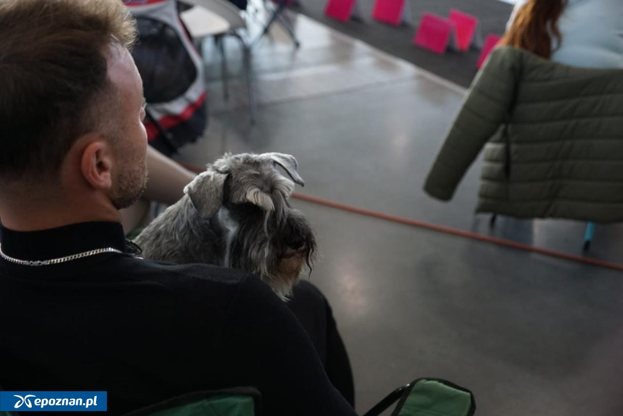 fot. Maciej Kopiński