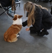 fot. Maciej Kopiński