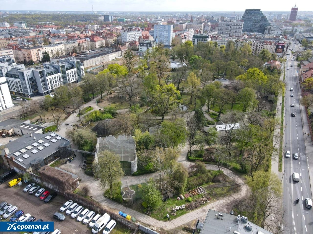 Japoński Ogród Wyobraźni ma powstać w Poznaniu. Pojawił się kłopot, ale już został rozwiązany