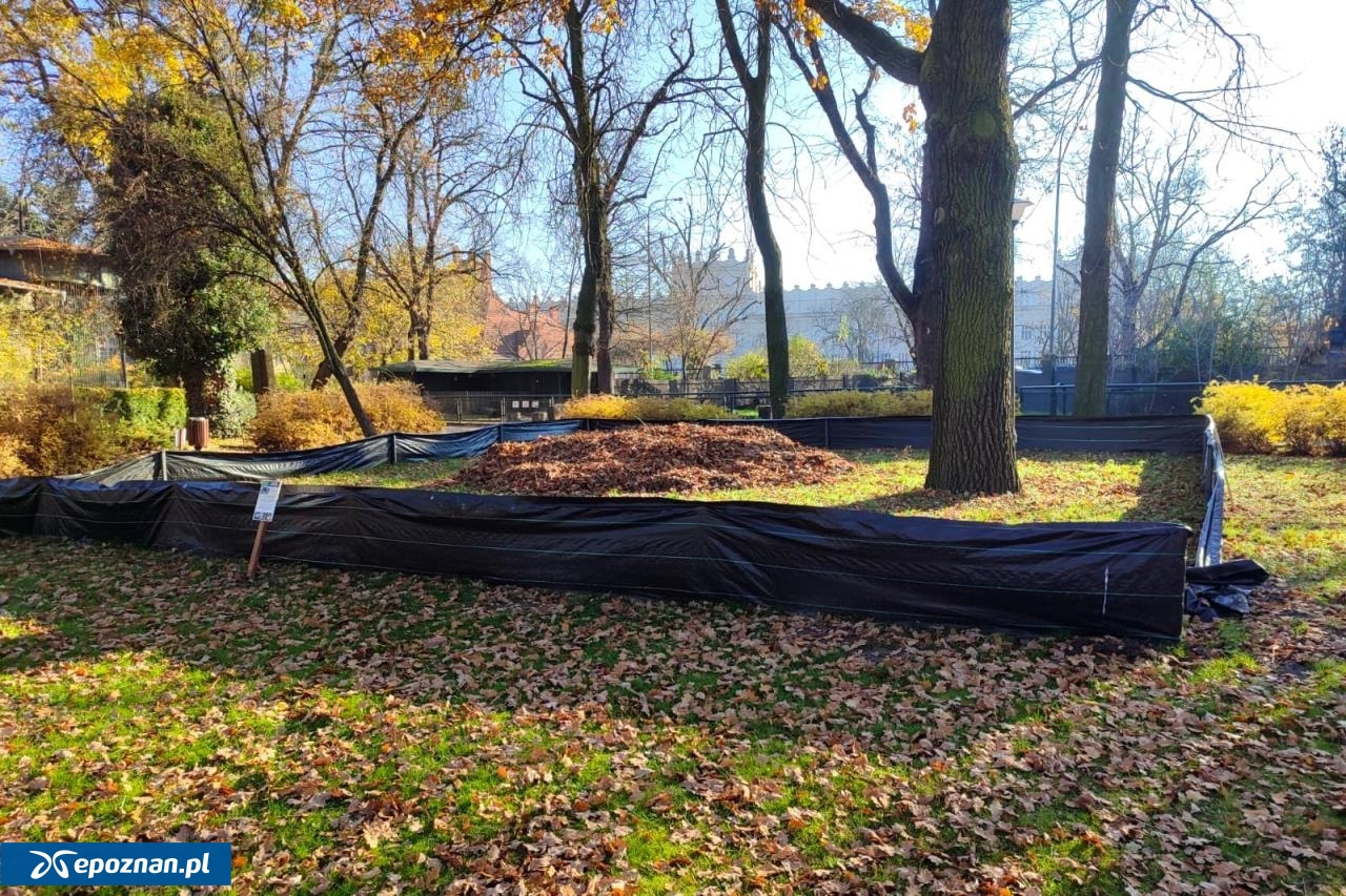 fot. Stare ZOO Poznań Official Site / FB