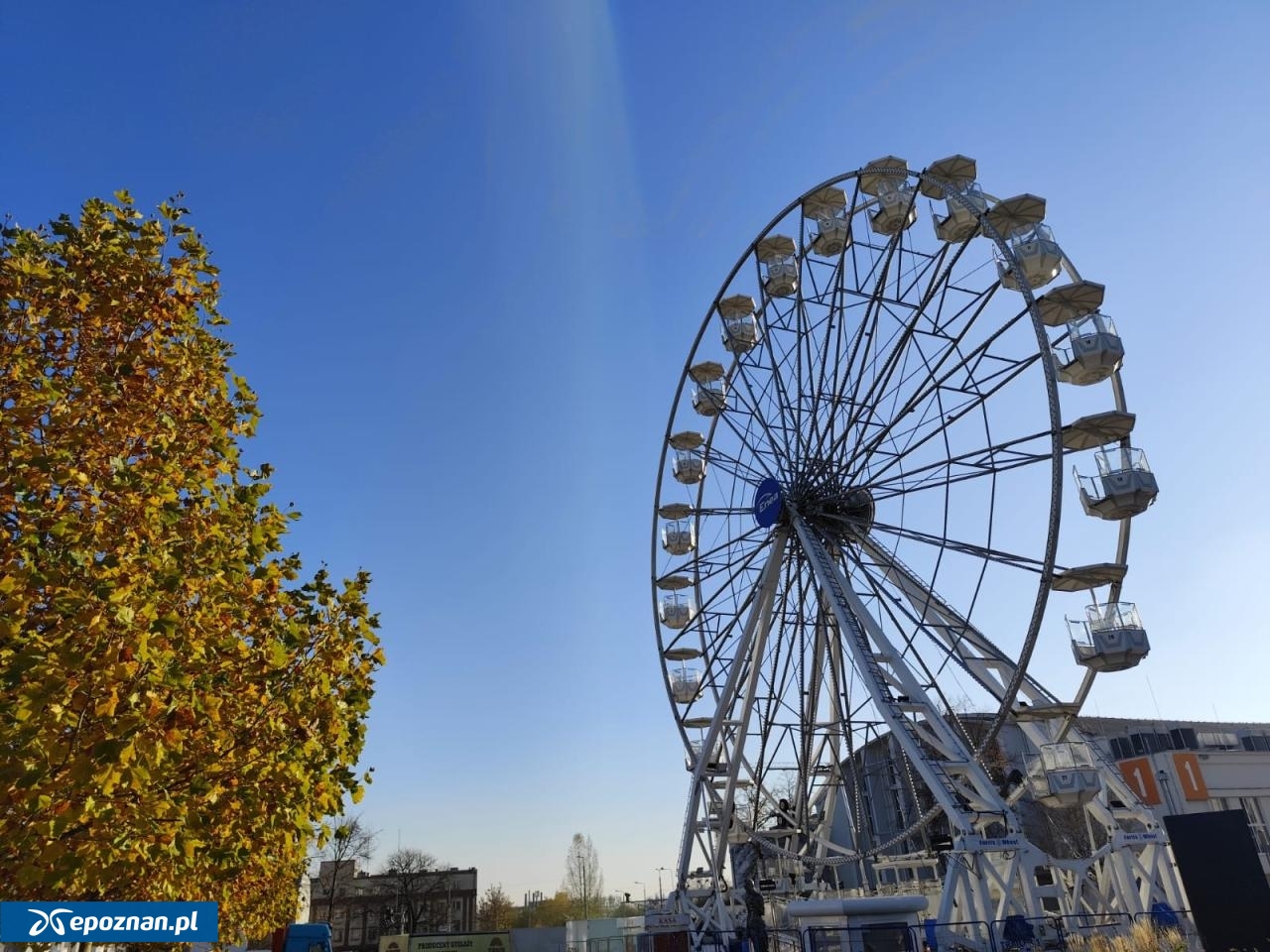 fot. Maciej Kopiński