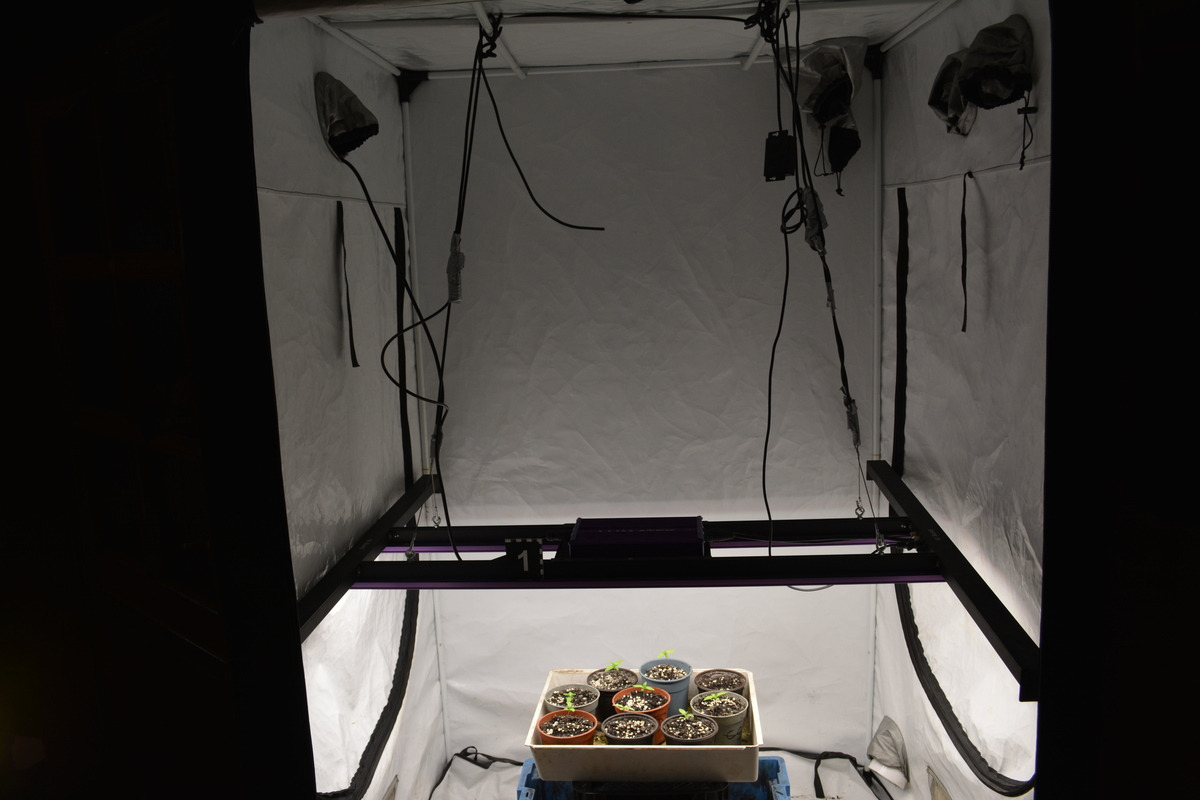 Policjanci weszli do jednego z domów w regionie. Jedno z pomieszczeń miało specjalne zastosowanie