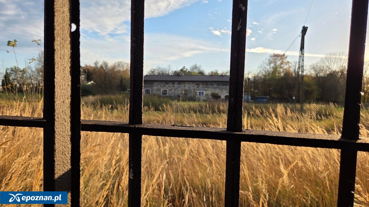 fot. powiat.kalisz.pl