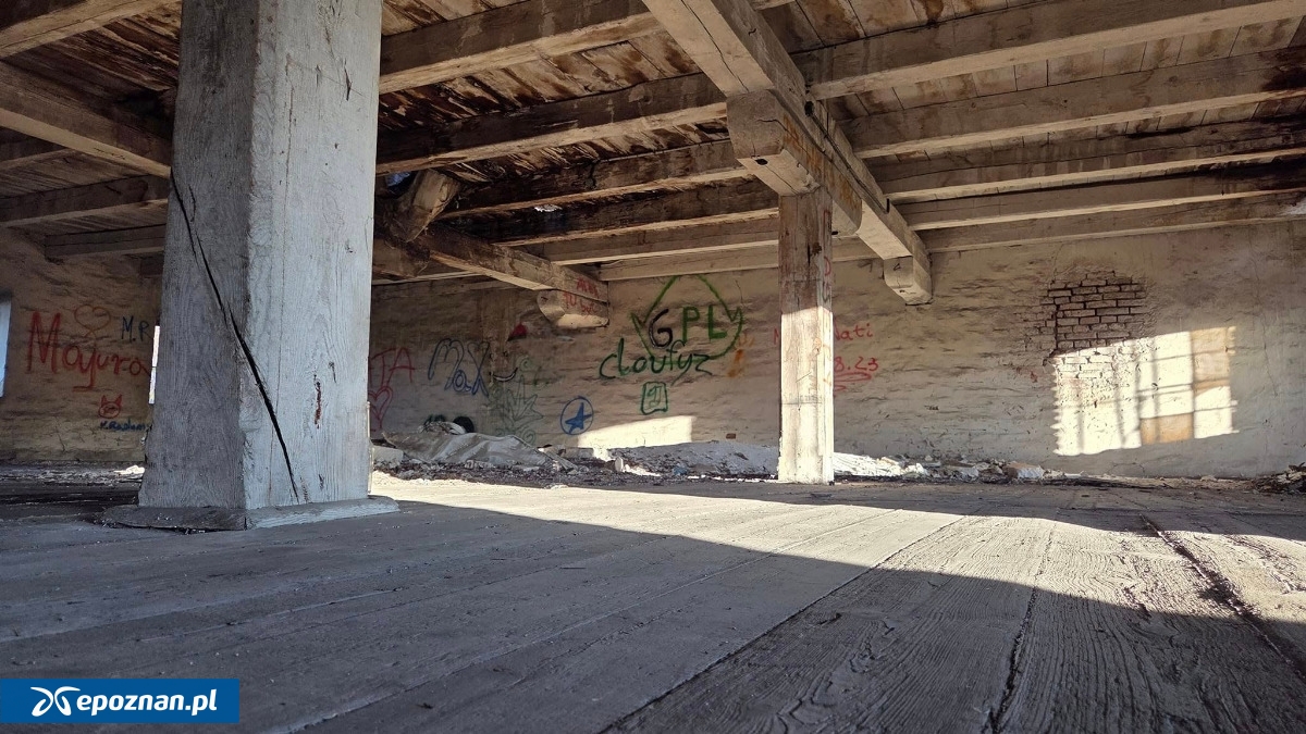 fot. powiat.kalisz.pl