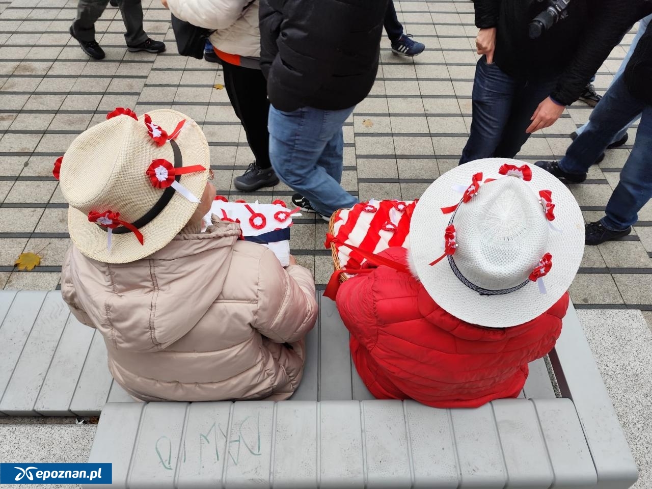 fot. Maciej Kopiński