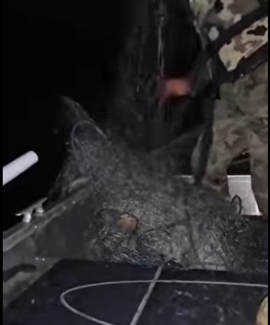 Powoli zbliżają się Święta, więc apetyt na ryby rośnie. Kłusownicy ruszyli nie nielegalny połów ryb