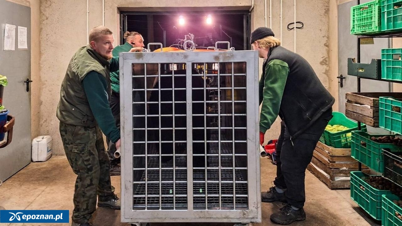 fot. ZOO Poznań Official / Facebook