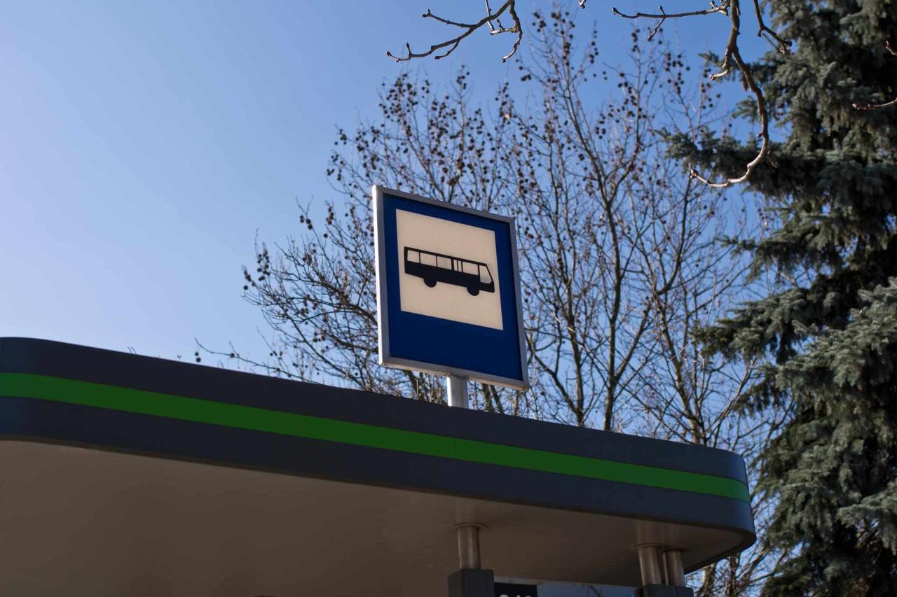 Dwie linie autobusowe wracają na swoje trasy!