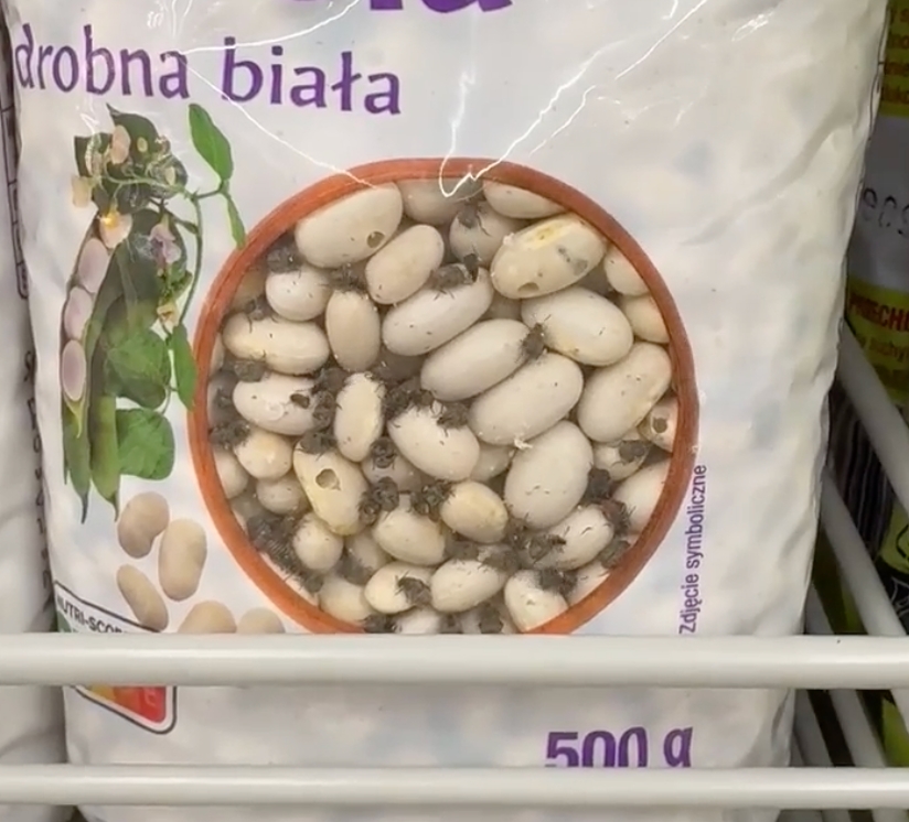 Fasola z robakami na półce w poznańskim markecie