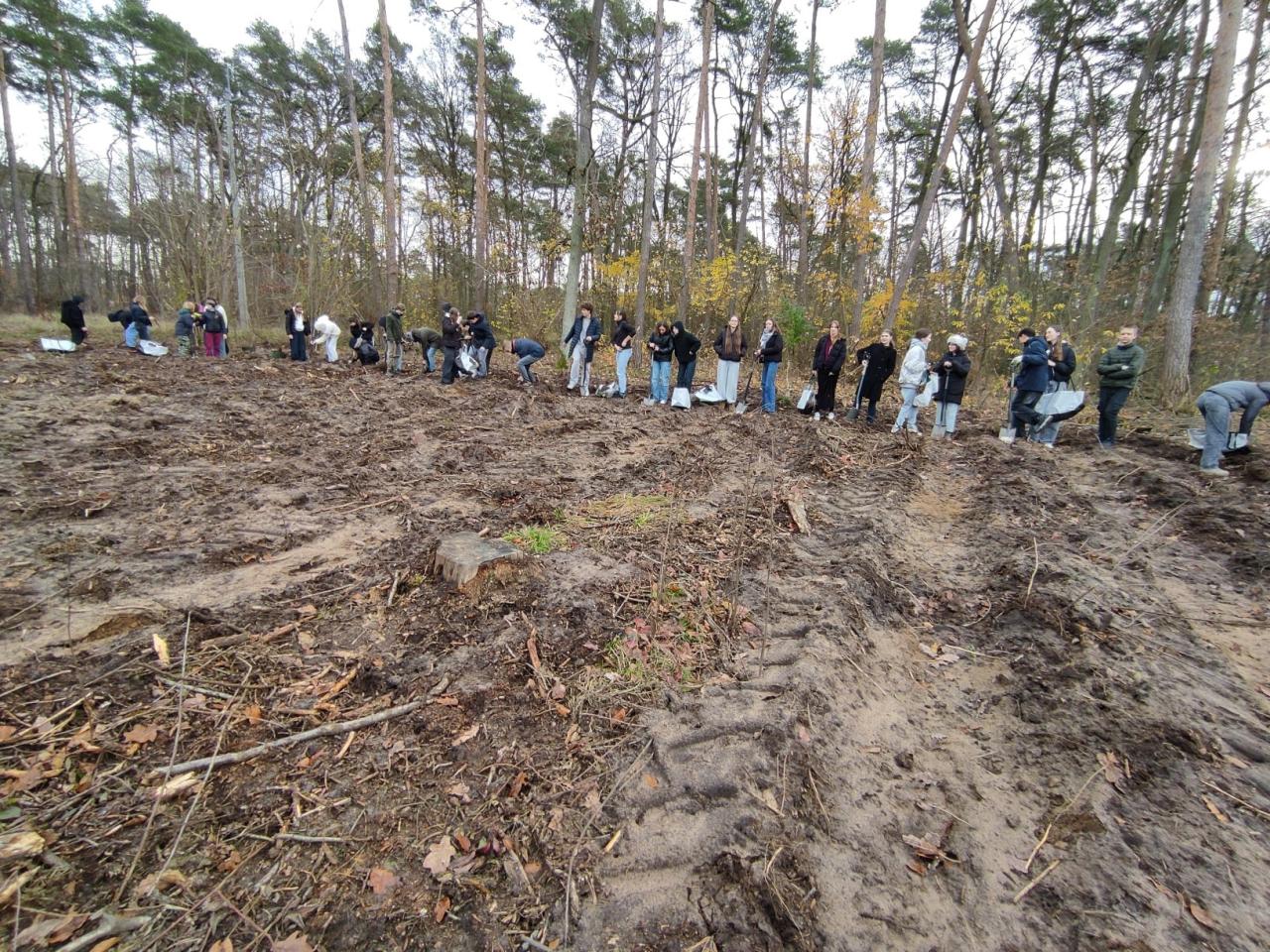"Ale zasadził" w podpoznańskim lesie. "W przyszłym roku odrobimy to z nawiązką"