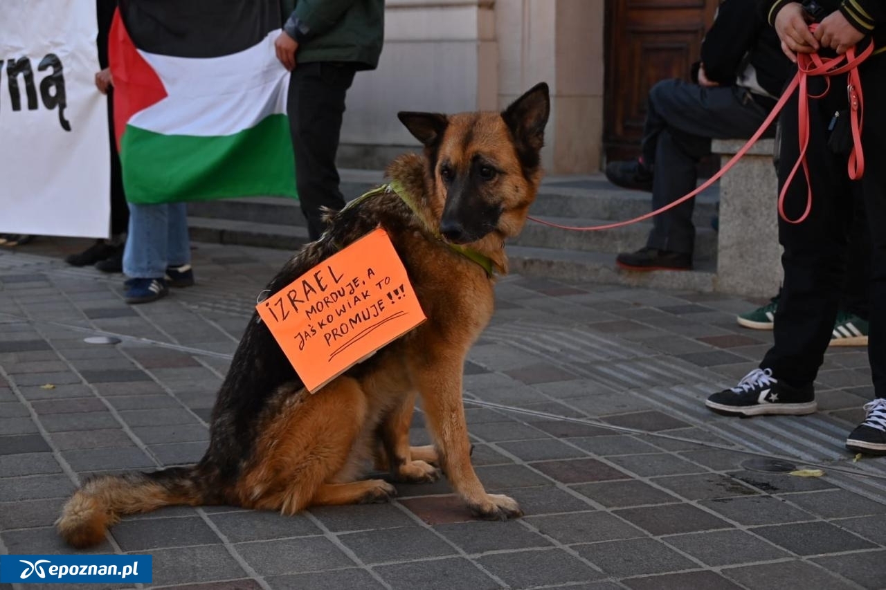 Jeden z protestów w Poznaniu. | fot. LP