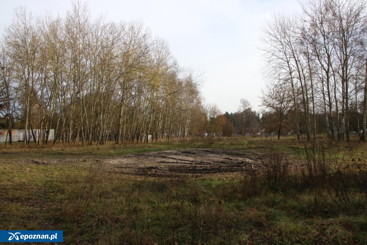 fot. Gmina Suchy Las / FB