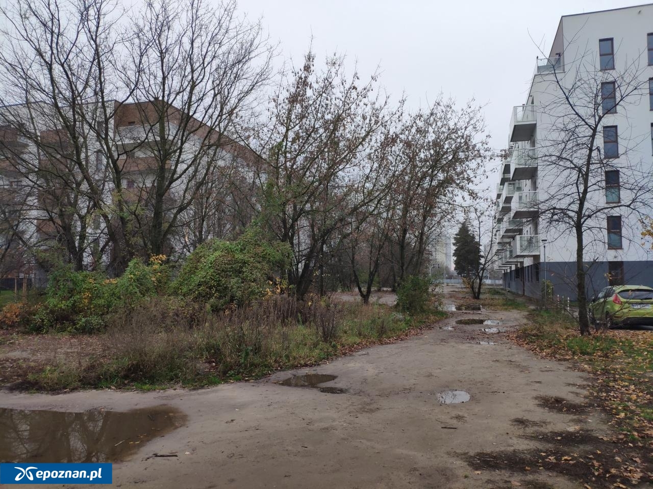 fot. Krzysztof Skrzypczak