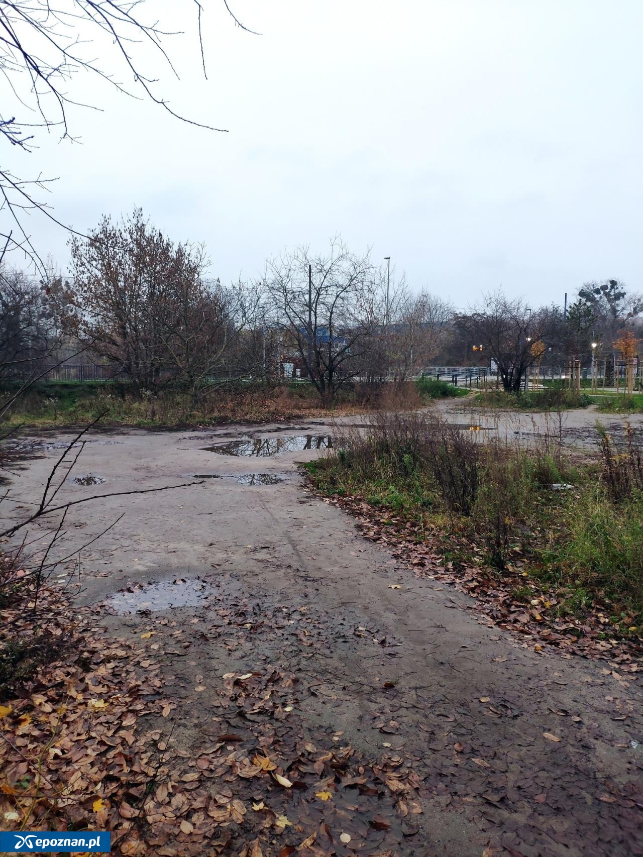 fot. Krzysztof Skrzypczak