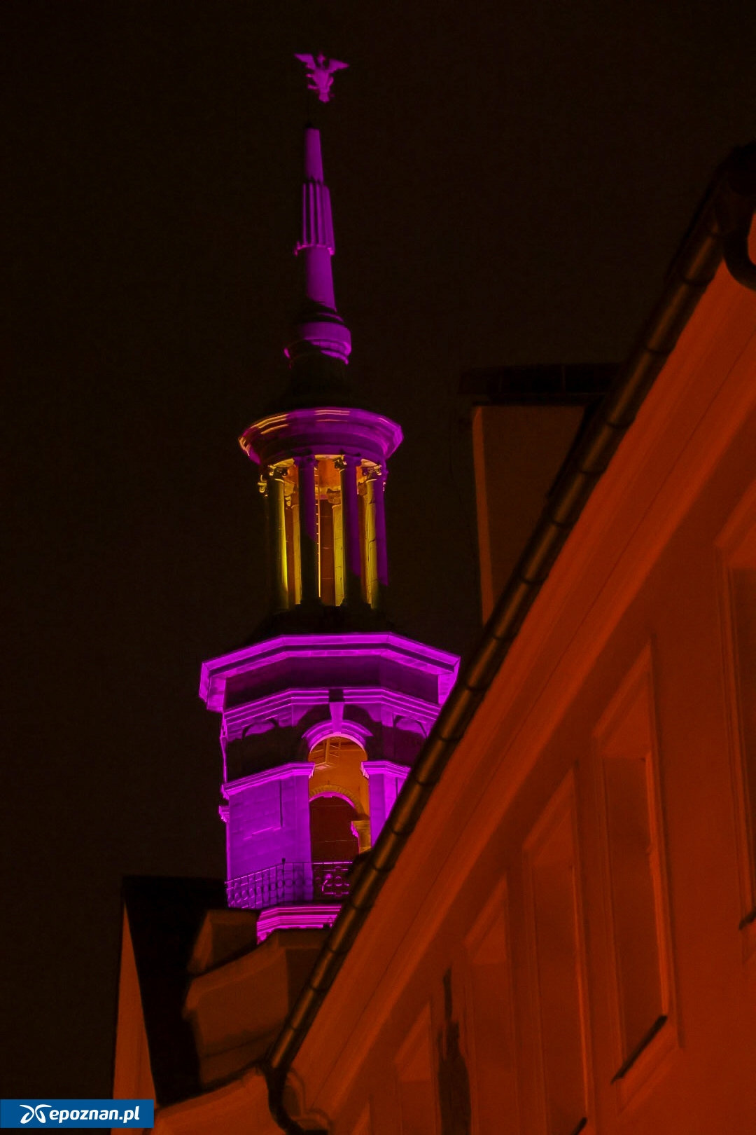 fot. Tomasz Sokołowski