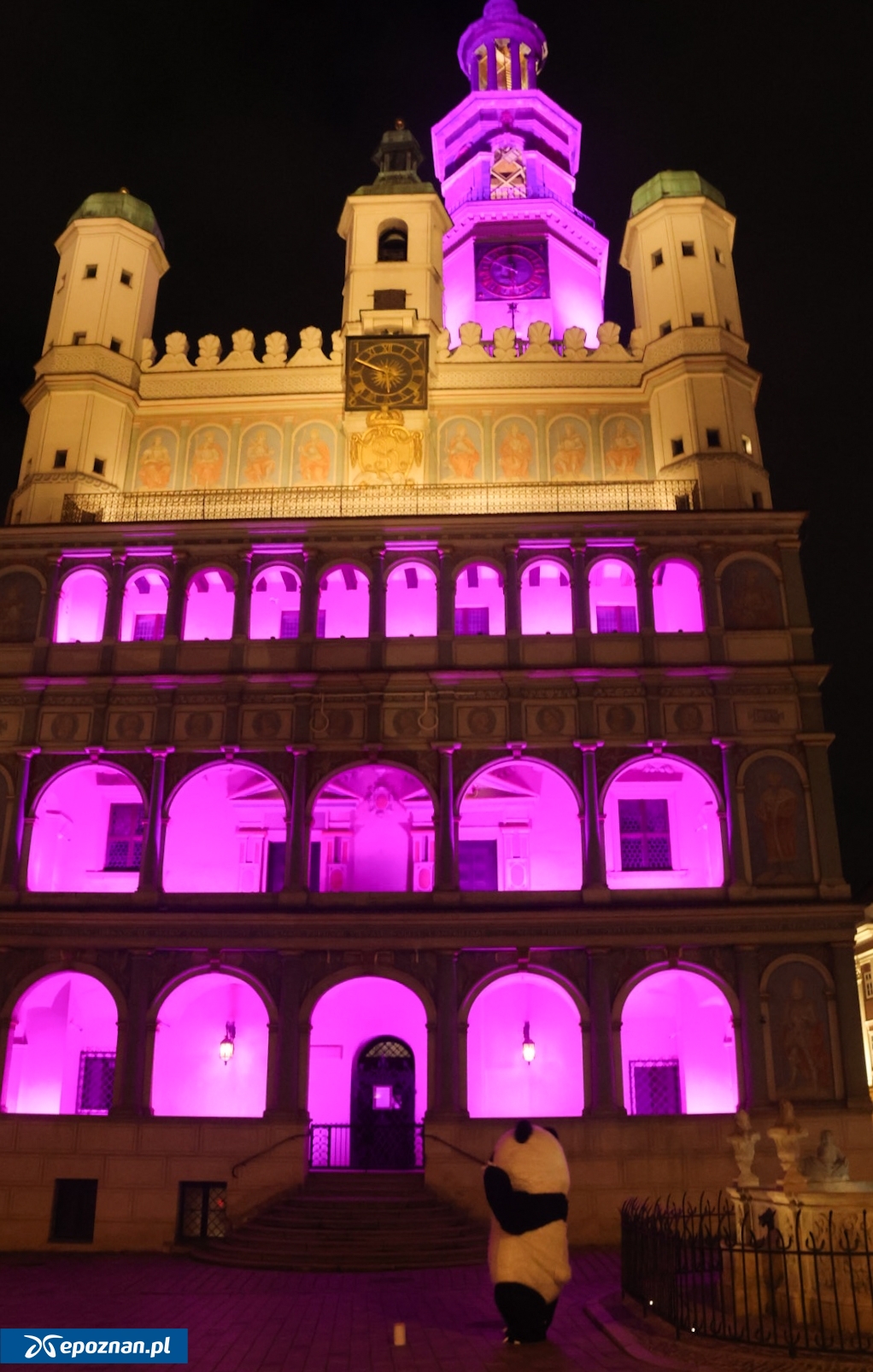 fot. Tomasz Sokołowski