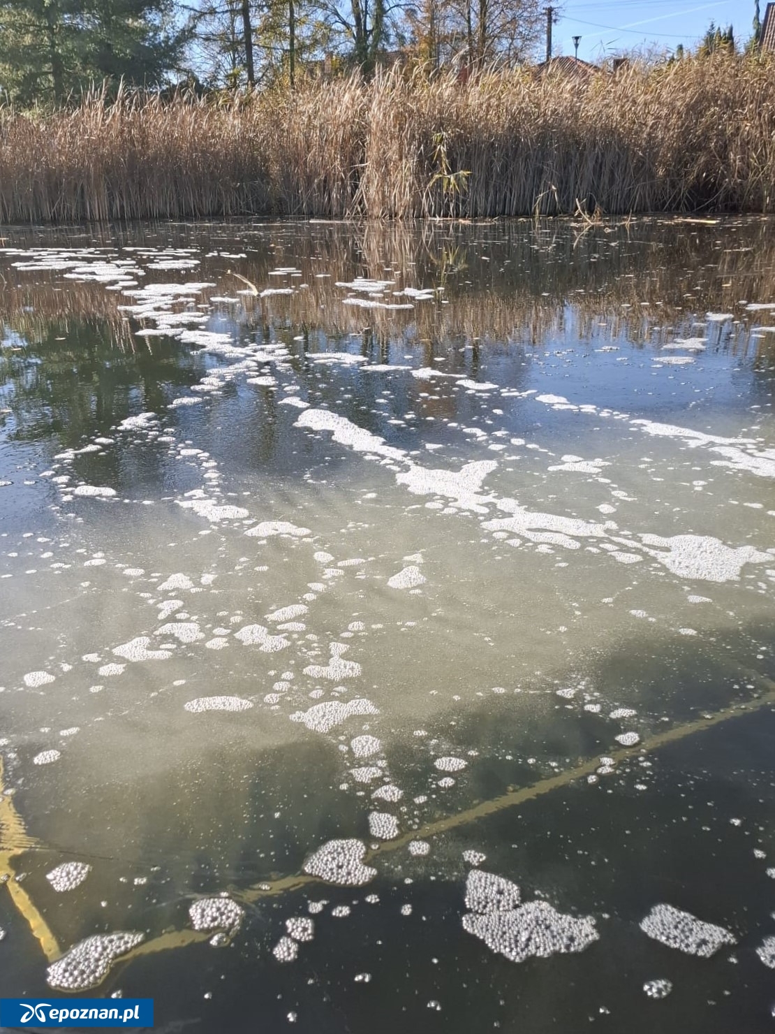 fot. Czerwonak, zobacz więcej / FB
