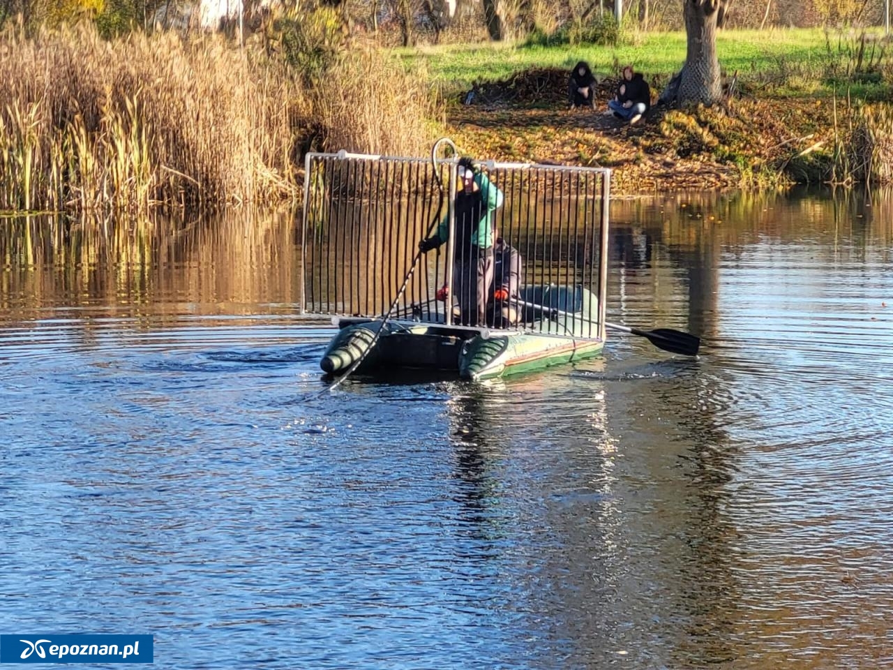 fot. Czerwonak, zobacz więcej / FB