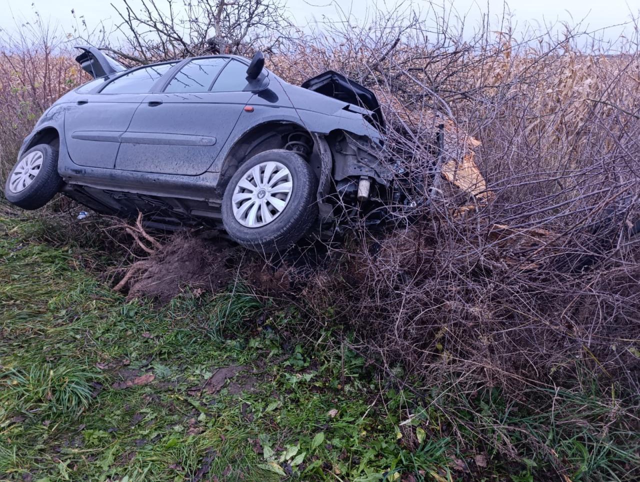 Tragiczny wypadek w regionie. Nie żyje 75-latek