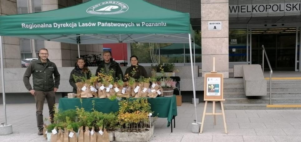 Nie rób lipy - badaj się. Akcja w poznańskim urzędzie, będą rozdawać sadzonki!