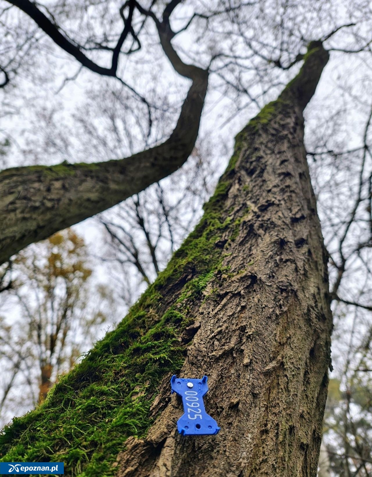 fot. Dzika Dębina FB