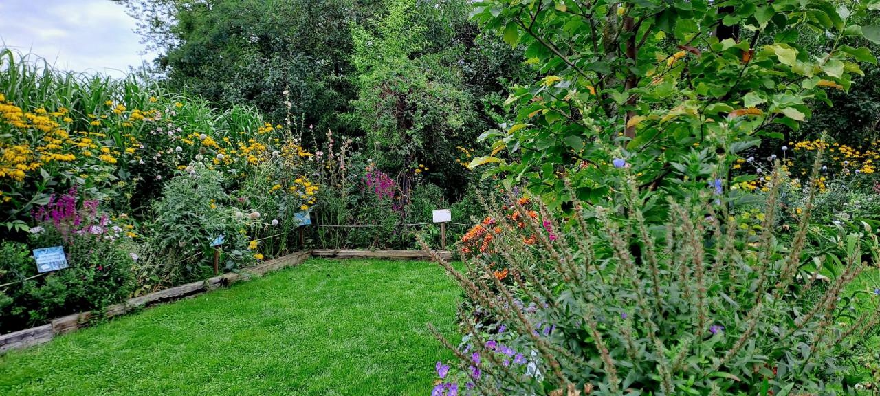 Znany i lubiany przez poznaniaków konkurs rozstrzygnięty. Przez kilkadziesiąt lat wzięło w nim udział ponad 98 tysięcy uczestników