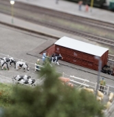 fot. Maciej Kopiński