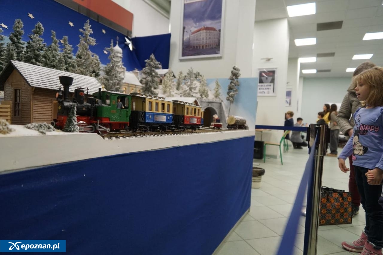 fot. Maciej Kopiński