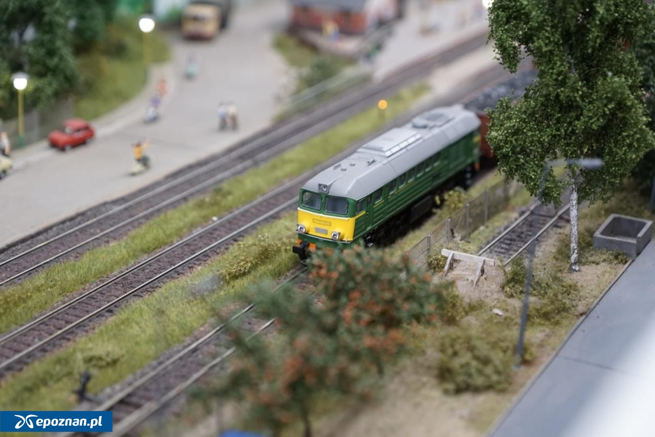 fot. Maciej Kopiński