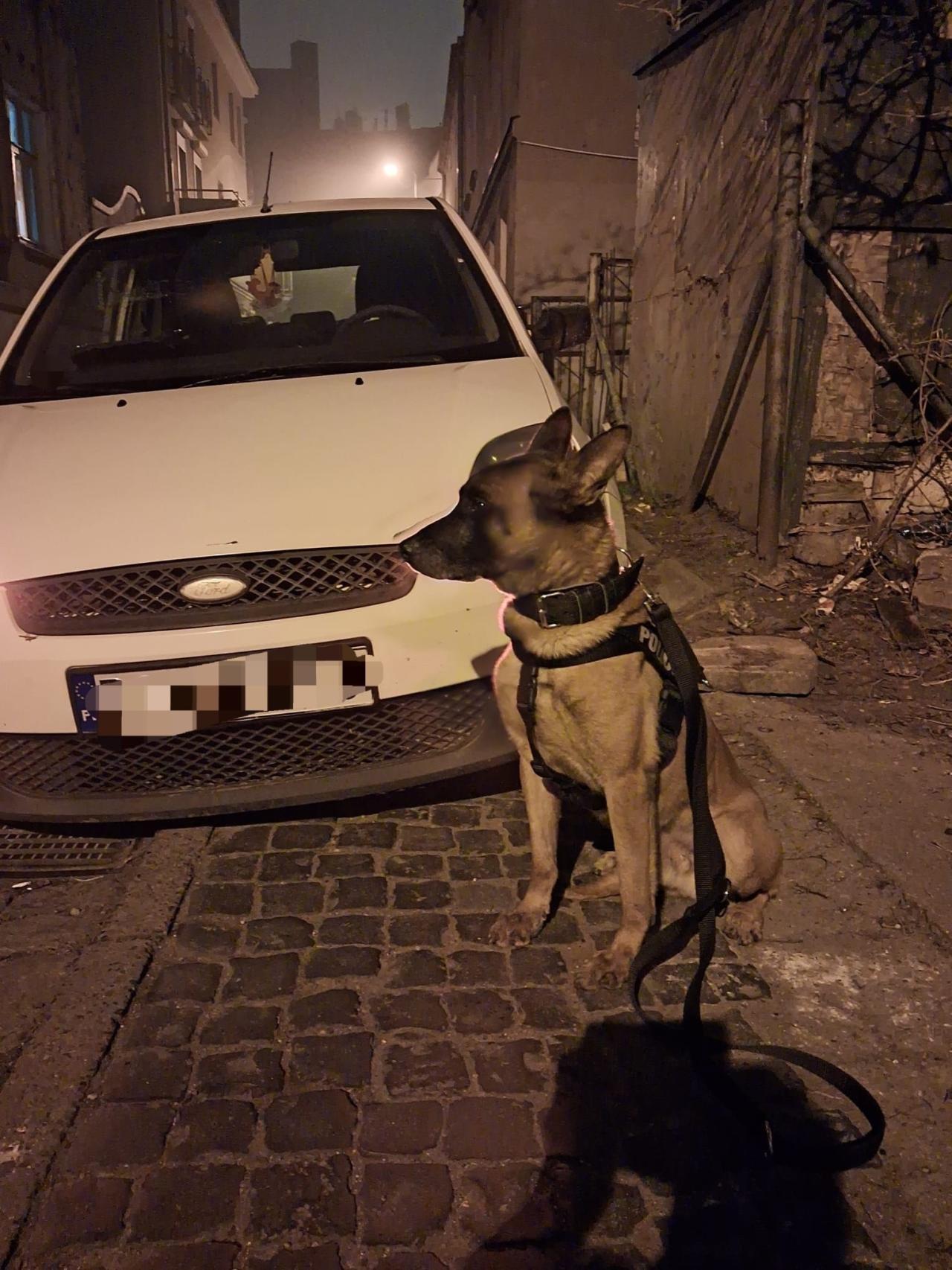 Kobieta spowodowała kolizję będąc pod wpływem alkoholu. Nie było jej na miejscu zdarzenia, ale znalazł ją pies!