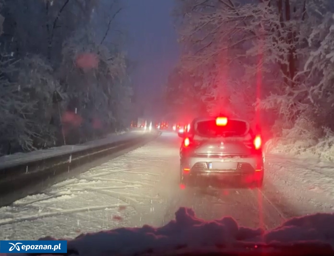 Lutycka | fot. Czytelnik