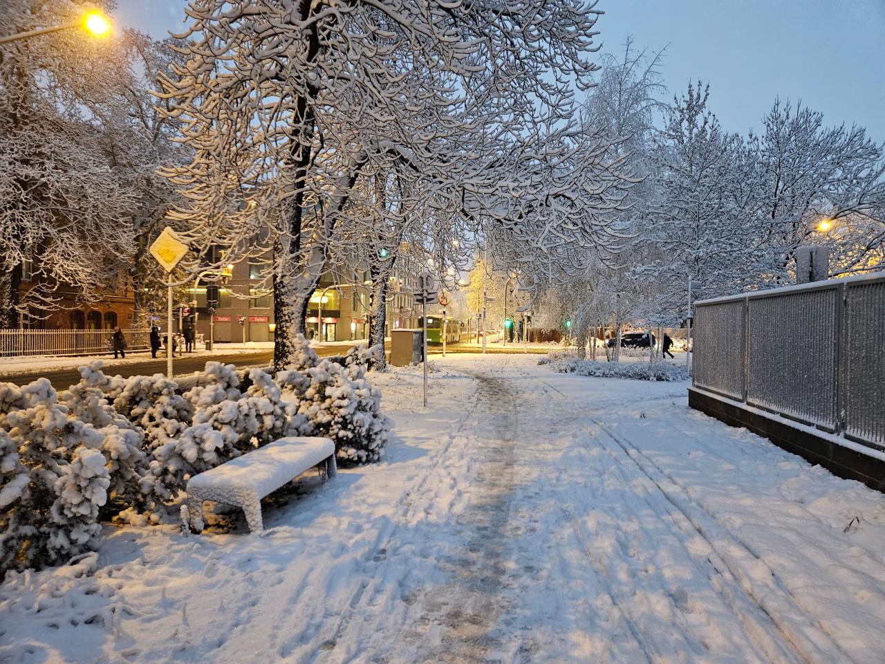 Poznań pod śniegiem. Mamy zdjęcia!