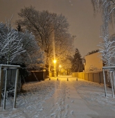 fot. Magda Pietrowska