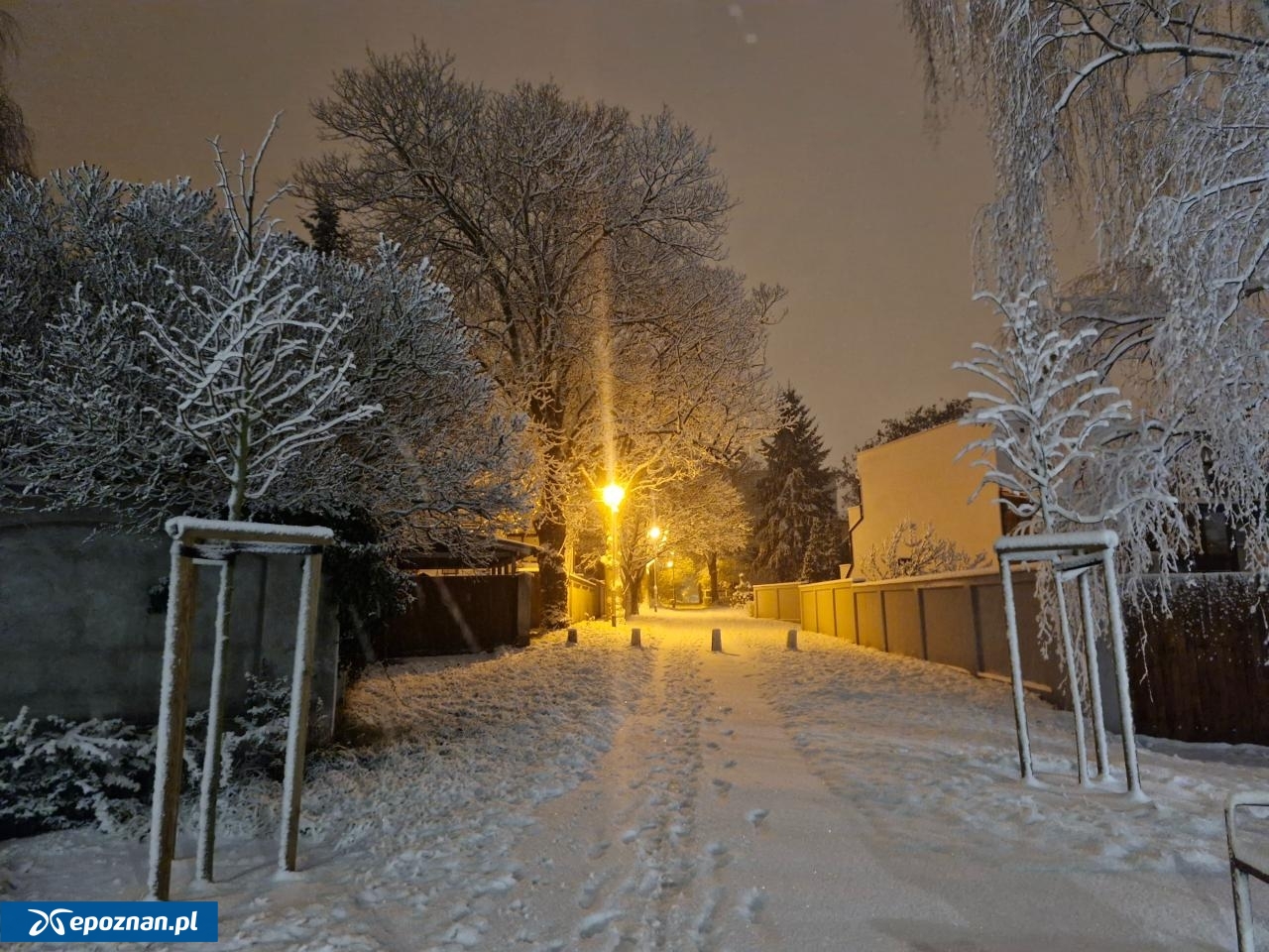 fot. Magda Pietrowska