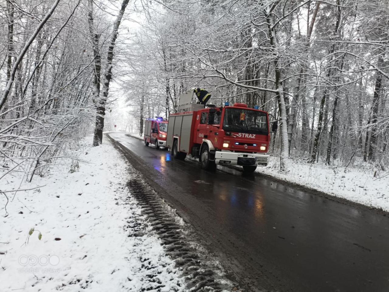 Kolejne połamane drzewa pod naporem śniegu. Wielkopolscy strażacy mieli ręce pełne roboty