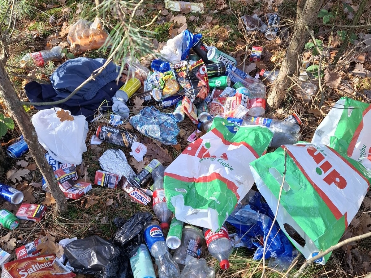 Dzikie wysypisko w lesie w regionie. 22-latek ze sporym mandatem, także za wjazd autem do lasu