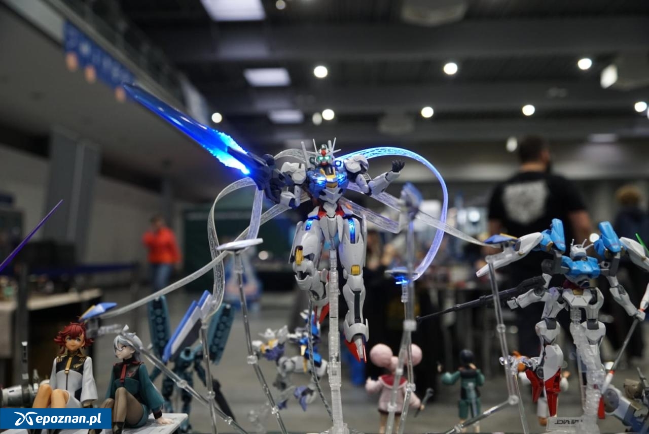 fot. Maciej Kopiński