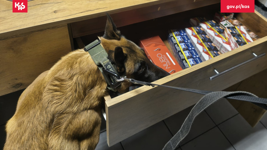 Akcja służb w regionie. Zlikwidowano sklep z nielegalnym towarem