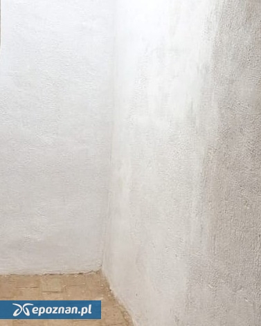 fot. Biblioteka Kórnicka / FB