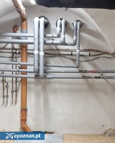 fot. Biblioteka Kórnicka / FB