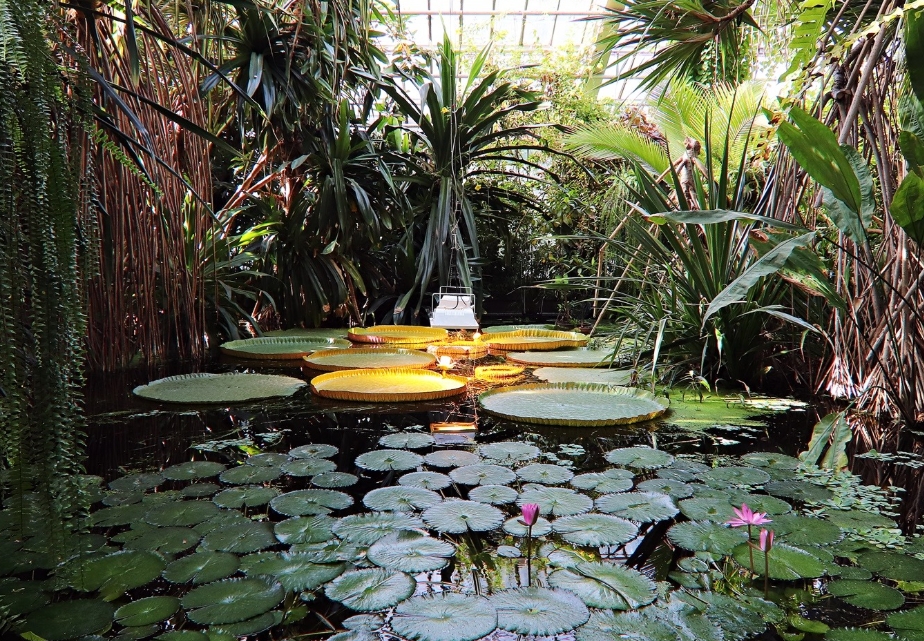 W Poznaniu pojawi się Mikołaj pod palmami. To w ramach akcji "Eko Mikołajki"