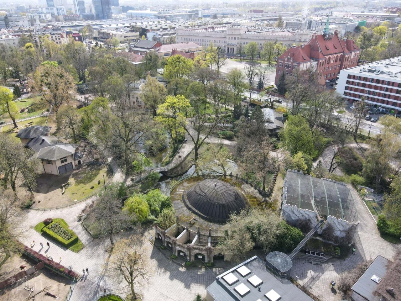 W Poznaniu powstanie Japoński Ogród Wyobraźni. Jest przetarg