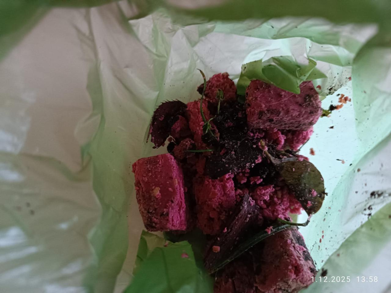 Niebezpieczne znaleziska na północy Poznania. Czytelnik ostrzega