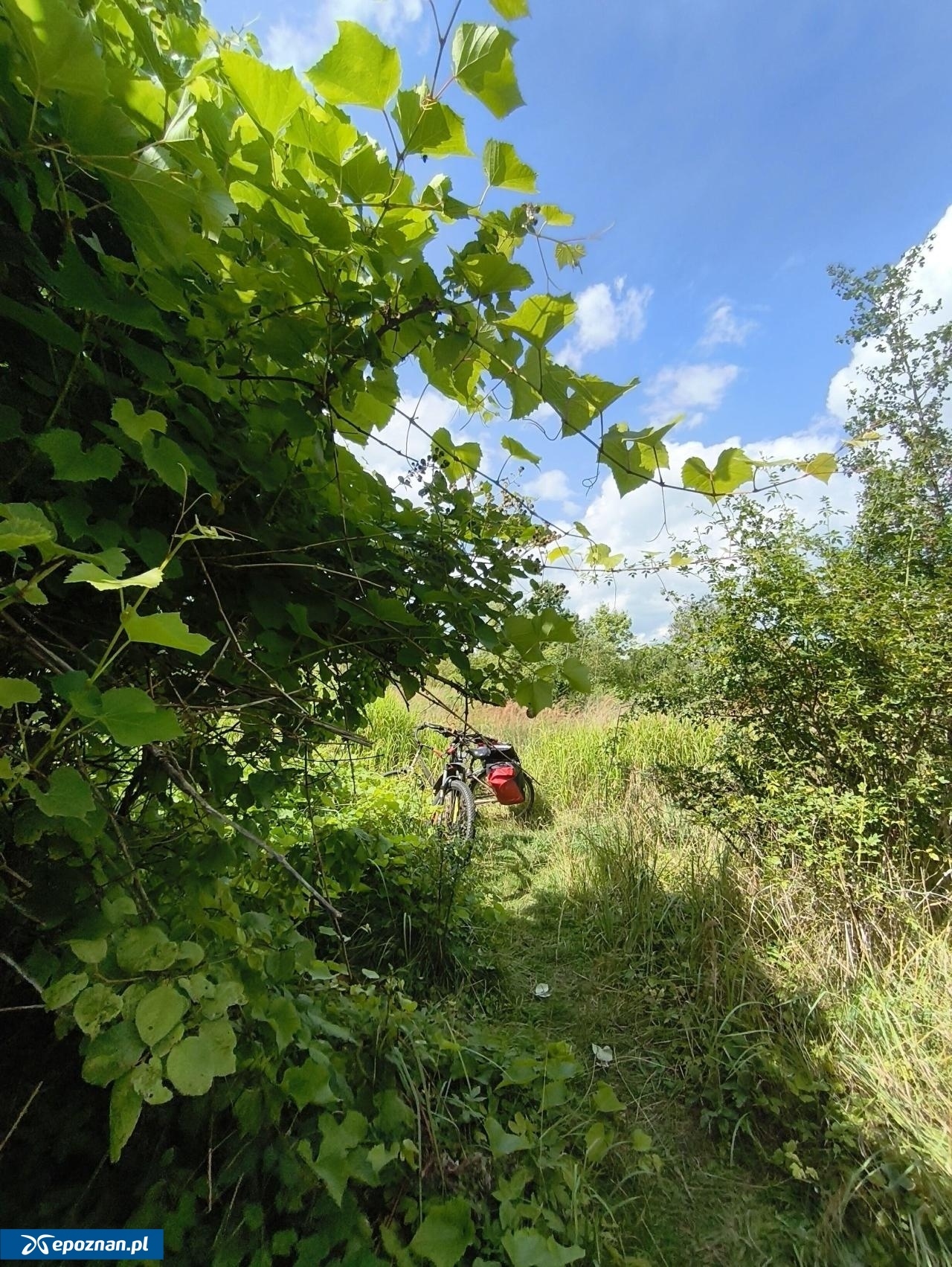 fot. Stowarzyszenie Sąsiedzki Łazarz