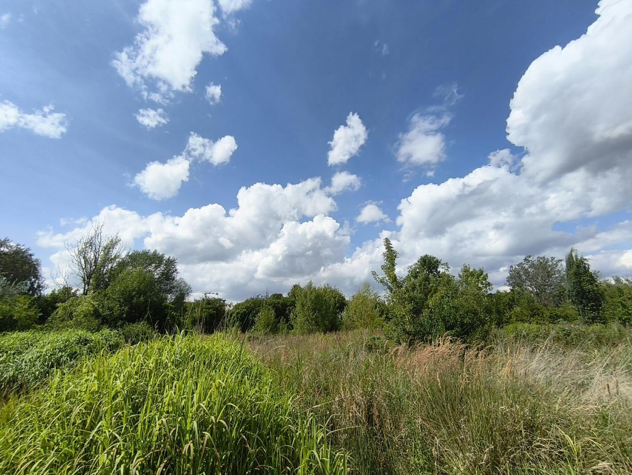 Na Łazarzu powstanie nowy park-sad? Radni są "ZA"