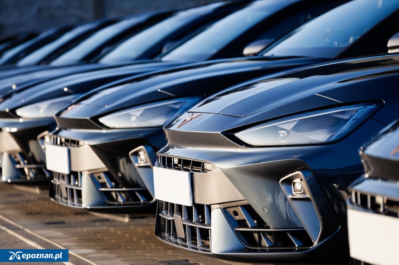 fot. UMWW w Poznaniu